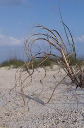 beach ribbons